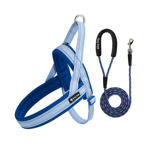 Midnight Navy / Ice Blue padded dog harness with matching braided rope leash set