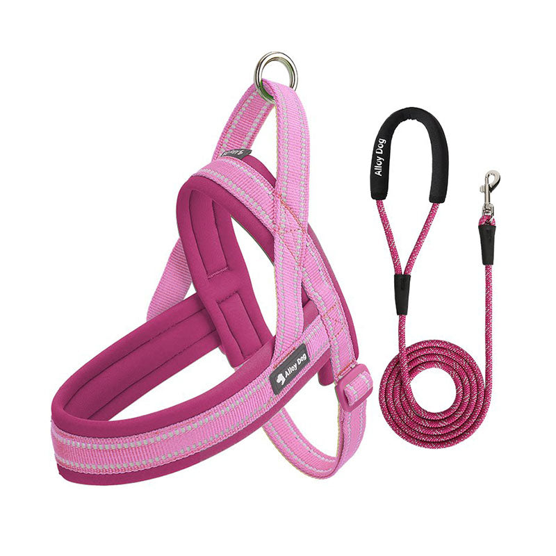Raspberry Pink / Candy Pink padded dog harness with matching braided rope leash set