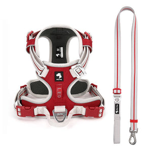 Red / Light Gray dog harness and matching adjustable reflective leash with breathable mesh lining and metal hardware.