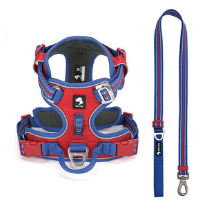 Royal Blue / Red dog harness with matching adjustable reflective leash, breathable mesh padding and metal hardware.