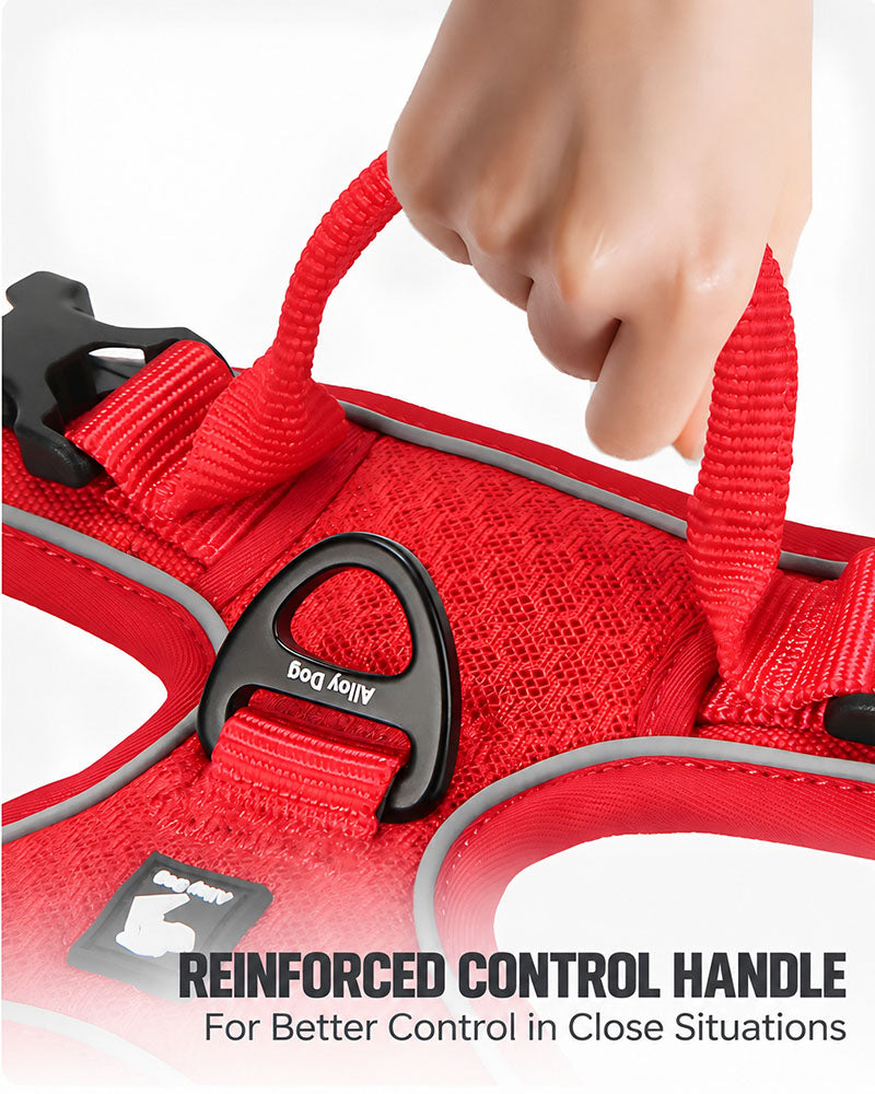 Close-up of the reinforced control handle on a red reflective dog harness for better control at close range