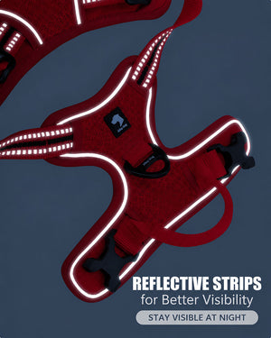Red dog harness with reflective strips highlighted for improved visibility during nighttime walks
