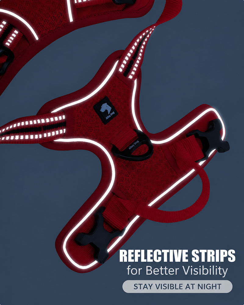 Red dog harness with reflective strips highlighted for improved visibility during nighttime walks