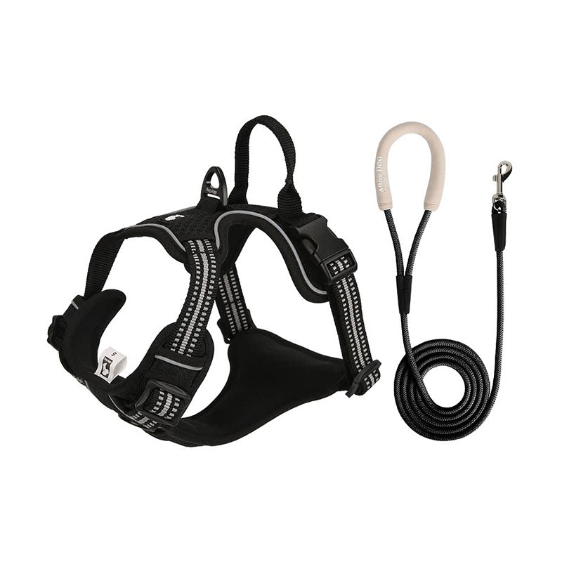 Black reflective dog harness and matching leash set with padded chest panel and adjustable straps
