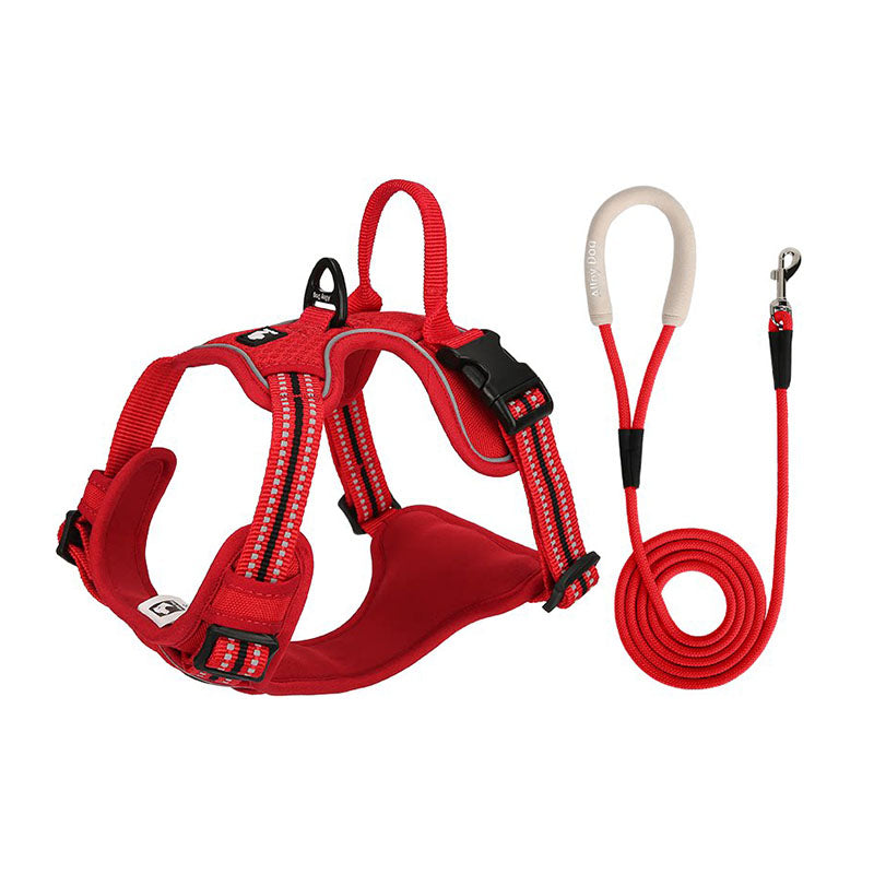 Red reflective dog harness and matching leash set with padded handle and adjustable straps