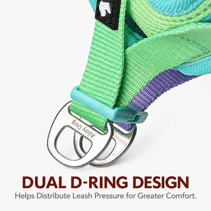 Close-up of dual metal D-ring leash attachments on a colorful mesh dog harness, showing the hardware and reinforced webbing connections.