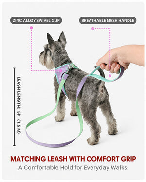 A Miniature Schnauzer wearing a mint and lavender mesh dog harness with a matching 5 ft leash, showing the comfort-grip handle and coordinating straps.