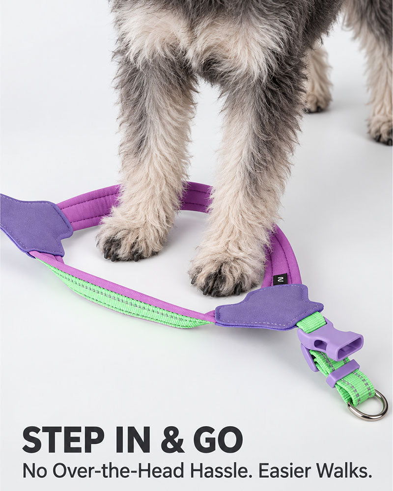 Lime Green and Grape Purple step-in dog harness laid flat, showing the open leg loops and easy-on design.