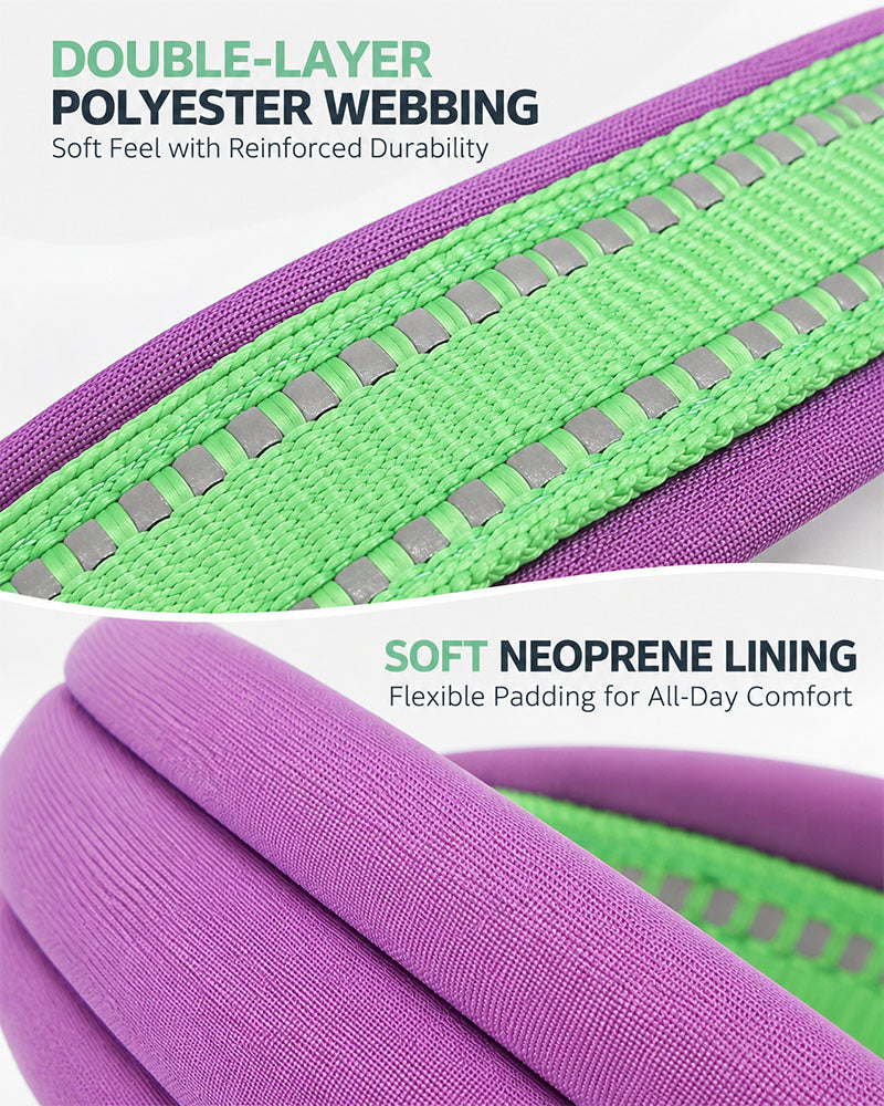 Close-up of double-layer polyester webbing and soft neoprene lining on a Lime Green and Grape Purple dog harness.