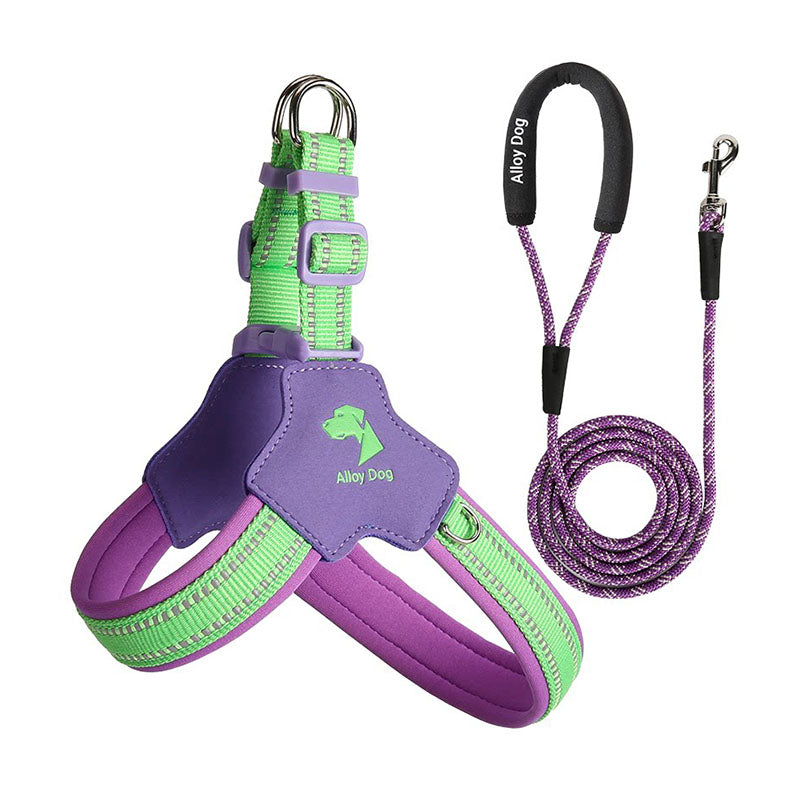 Lime Green and Grape Purple mesh dog harness set with a matching braided nylon rope leash and padded handle.