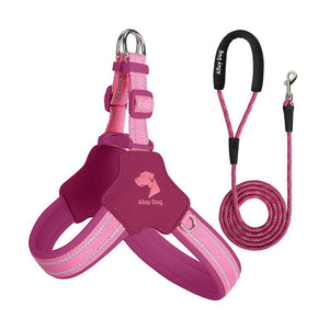 Raspberry Pink and Candy Pink mesh dog harness set with a matching braided nylon rope leash and padded handle.