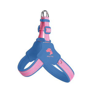 Aqua Blue and Candy Pink step-in mesh dog harness with reflective trim and adjustable straps.