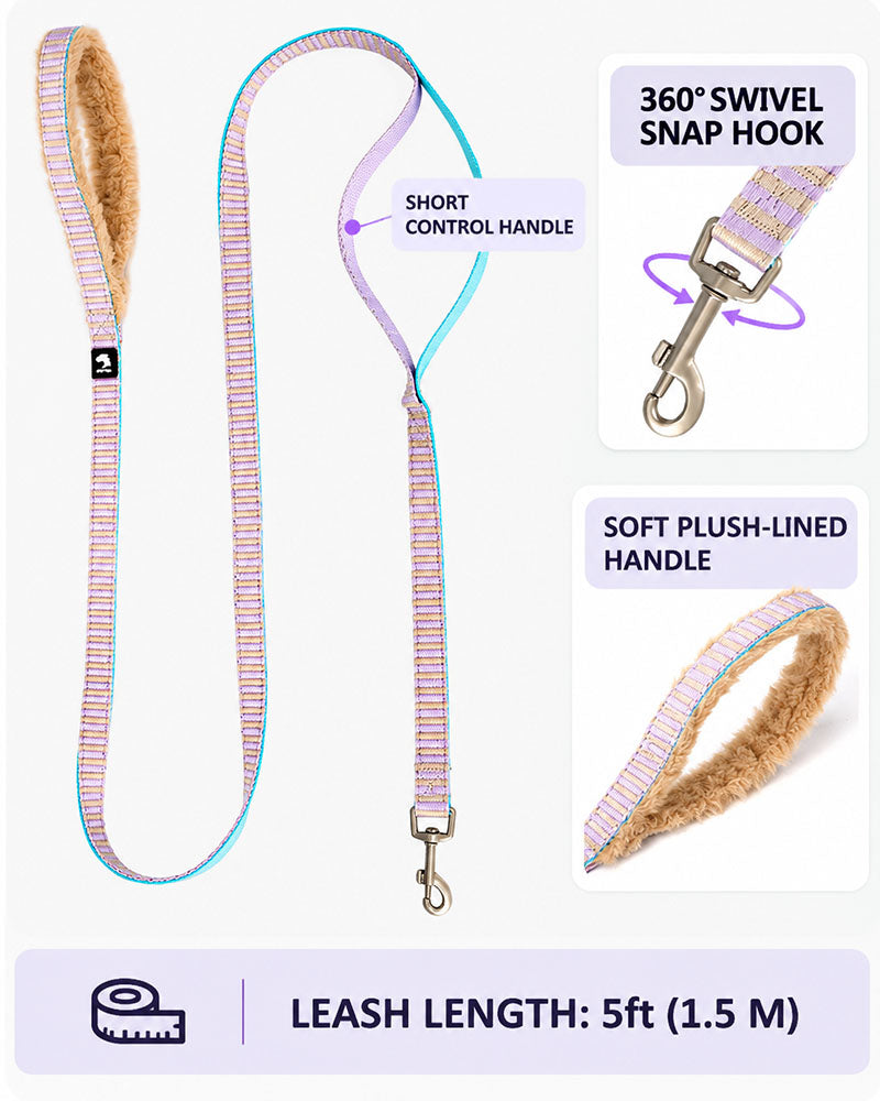 Matching 5 ft leash with 360° swivel snap hook, short control handle, and plush-lined grip