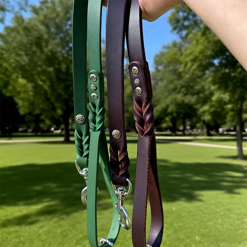 dg-lea-0008-5