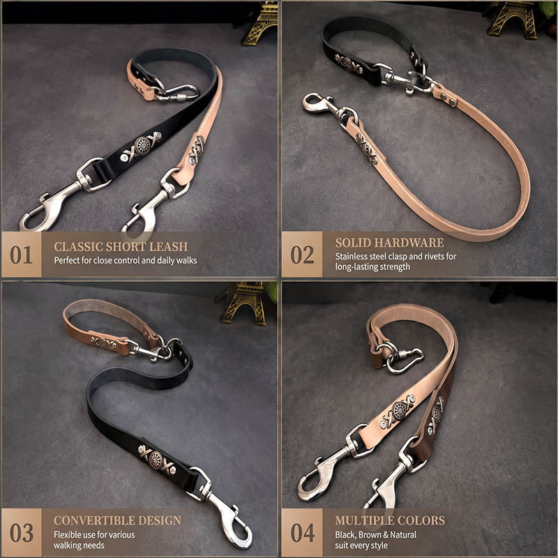 dg-lea-0010-10