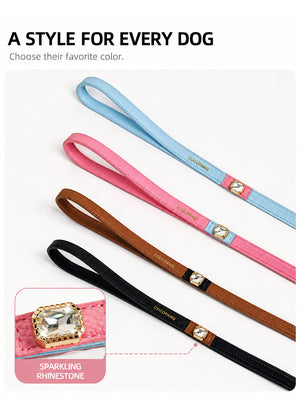 dg-lea-0016-3