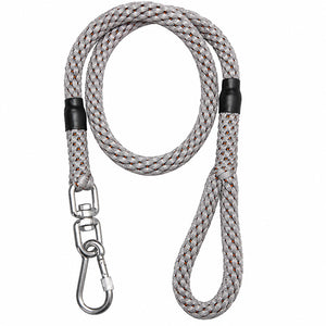 dg-lea-0024-lgy-1