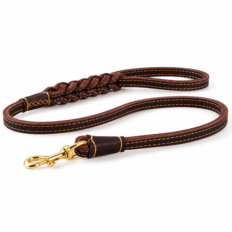 Braided full-grain leather dog leash with brown stitched handle and solid brass snap hook