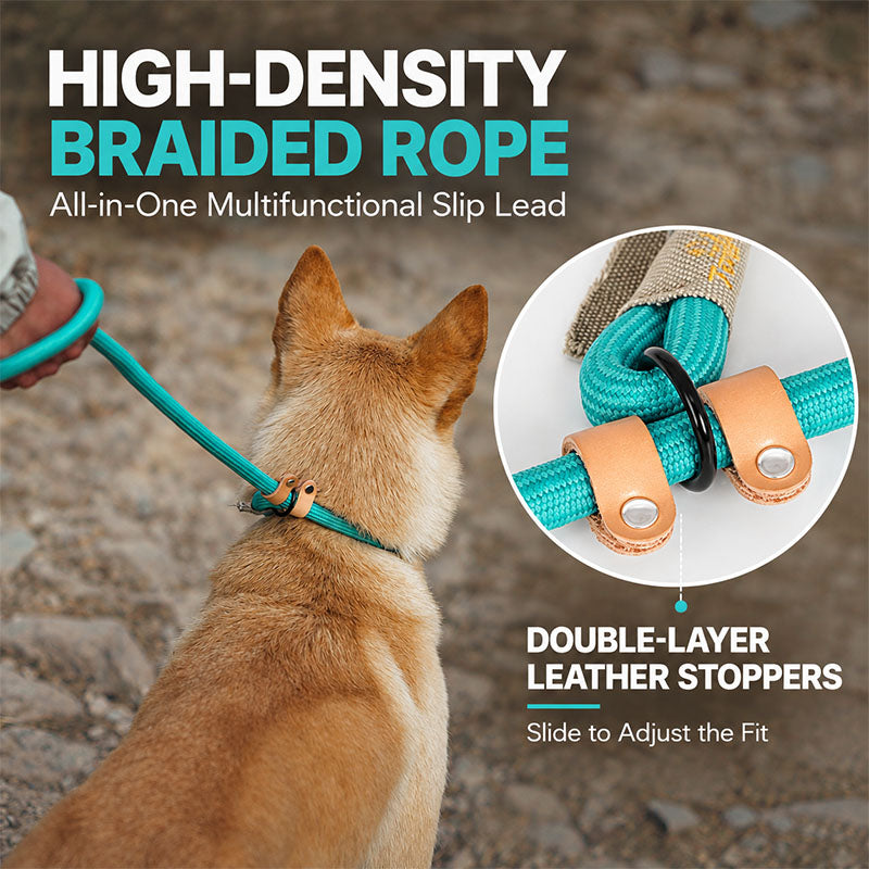 Turquoise braided rope slip lead with adjustable leather stoppers shown on a dog