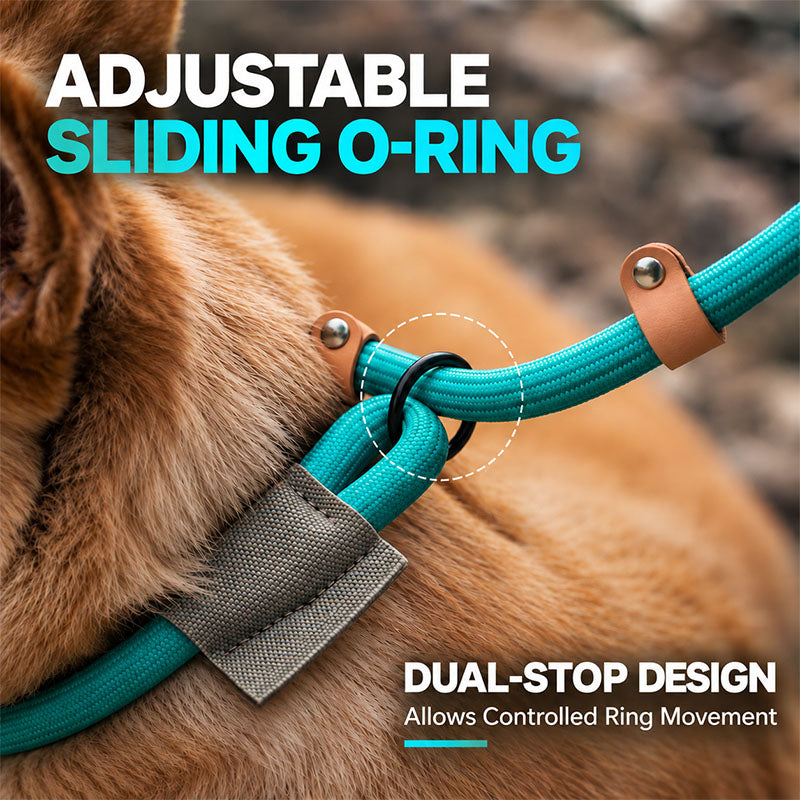 Close-up of adjustable sliding O-ring and dual leather stoppers on a turquoise slip lead