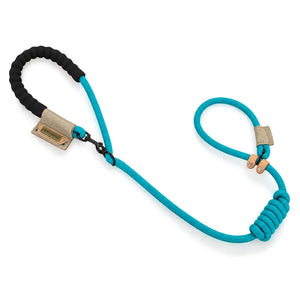 Turquoise multifunctional slip lead dog leash with EVA foam handle and adjustable rope collar