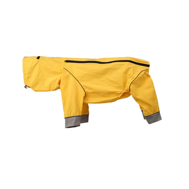 dg-out-0008-yel-1