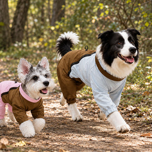 Schnauzer in Pink / Brown and Border Collie in Brown / Ice Blue wearing the fleece-lined dog raincoat on an autumn trail