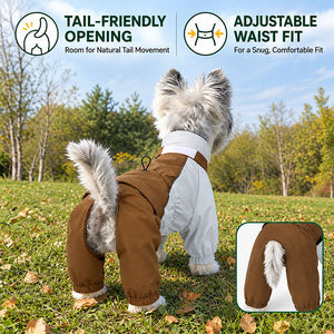 Back view of a dog in the Brown / Ice Blue raincoat showing the tail-friendly opening and adjustable waist
